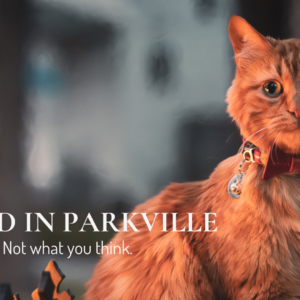 Orange tabby cat wearing a red bow tie at Main Street Inn in Parkville during “Naked in Parkville”