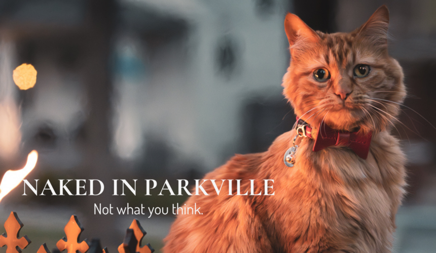 Orange tabby cat wearing a red bow tie at Main Street Inn in Parkville during “Naked in Parkville”