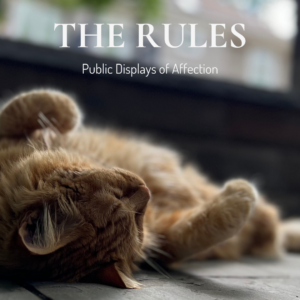 Mr. Ray, the orange tabby mascot of Main Street Inn, relaxes on the sunny patio for his summer edition of the Bow-Tie Dispatch, "Rules for Public Displays of Affection."