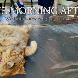 Mr. Ray (of Sunshine), the Main Street Inn’s resident cat and Assistant Innkeeper, lounges on the front porch floor while guests enjoy breakfast behind him.