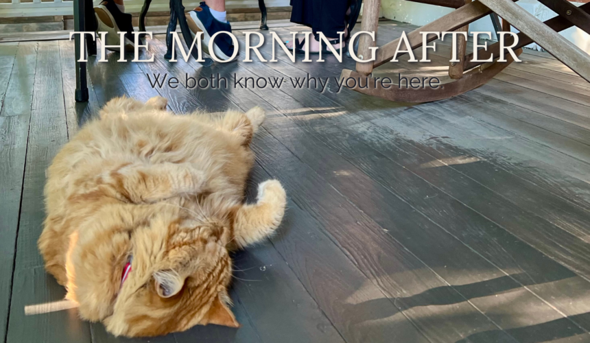 Bow-Tie Dispatch No. 5 Mr. Ray (of Sunshine), the Main Street Inn’s resident cat and Assistant Innkeeper, lounges on the front porch floor while guests enjoy breakfast behind him.